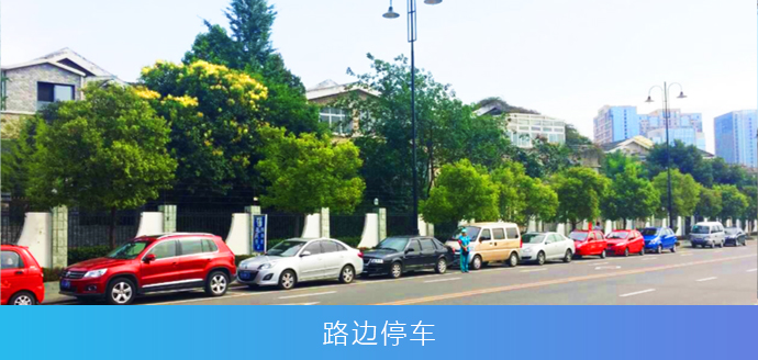路边停车应用方案
